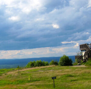 a scenic view from the top of mount agamenticus