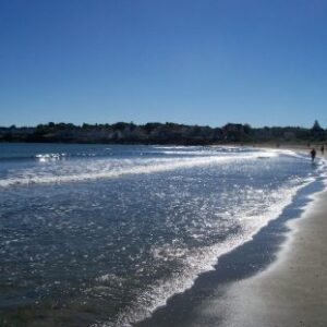 people walking along a beach shore