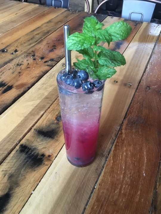 a blueberry mojito in a tall glass with mint and blueberry garnish on top