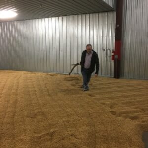 a man walking across malt, turning over malt with a rake