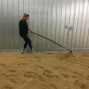 a woman standing in malt, turning over malt with a rake